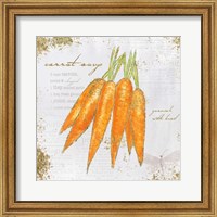 Framed Garden Treasures VIII