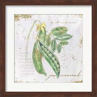 Framed Garden Treasures X