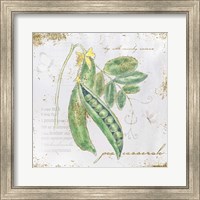 Framed Garden Treasures X