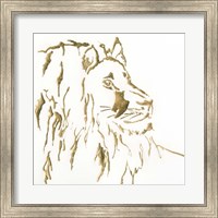 Framed Gilded Lion