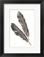 Framed Gold Feathers III on White