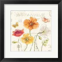 Framed Painted Poppies II
