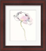 Framed Single Pink Somniferums I on White