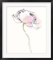 Framed Single Pink Somniferums I on White