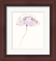 Framed Single Pink Somniferums II on White