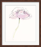 Framed Single Pink Somniferums II on White