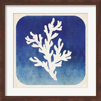 Framed Watermark Coral
