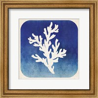 Framed Watermark Coral