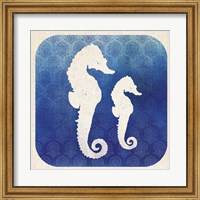 Framed Watermark Seahorse