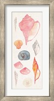 Framed Sea Gems I