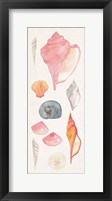 Sea Gems I Framed Print