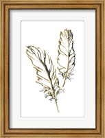 Framed Gilded Barn Owl Feather