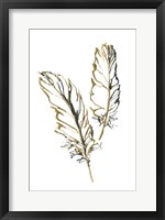 Framed Gilded Barn Owl Feather