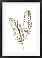 Gilded Barn Owl Feather Framed Print