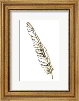 Framed Gilded Swan Feather I