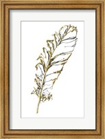 Framed Gilded Turkey Feather I