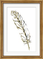 Framed Gilded Turkey Feather II