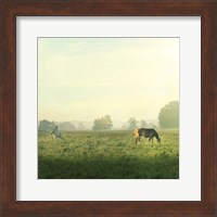 Framed Farm Morning I Square