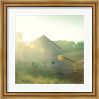 Framed Farm Morning II Square