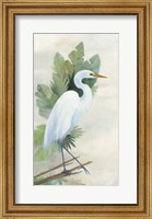 Framed Standing Egret I