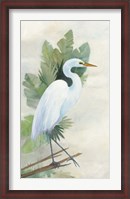 Framed Standing Egret I