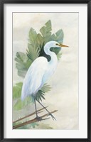 Framed Standing Egret I