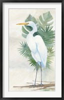 Standing Egret II Framed Print