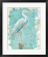 Coastal Egret I Framed Print