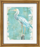 Framed 'Coastal Egret II' border=