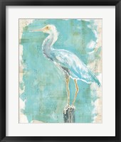 Coastal Egret II Framed Print