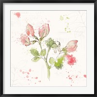 Framed Floral Splash II