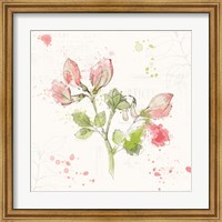 Framed Floral Splash II
