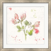 Framed Floral Splash II