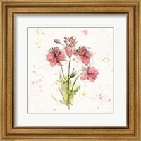 Framed Floral Splash V