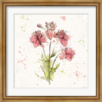 Framed Floral Splash V
