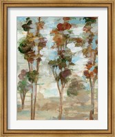 Framed Serene Forest III