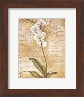 Framed Calligraphy Orchid
