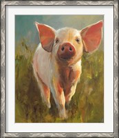 Framed Morning Pig