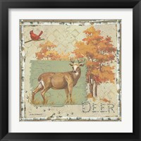 Framed Deer / Deer / Elk
