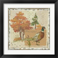 Framed Pheasant Postcard