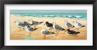 Framed Seagulls and Sand