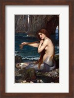 Framed Mermaid