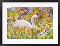 Framed Colorful Swan