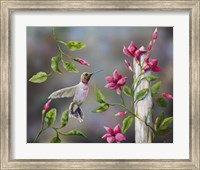 Framed Hummingbird with Flowers