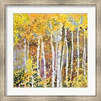 Framed Autumn Birches III
