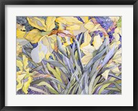 Framed Daffodils, Van Vleck