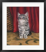 Framed Grey Kitten And Red Curtain