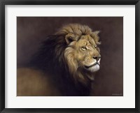 Framed Lion Male