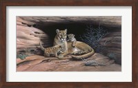 Framed Mountain Lions