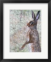 Framed March Hare